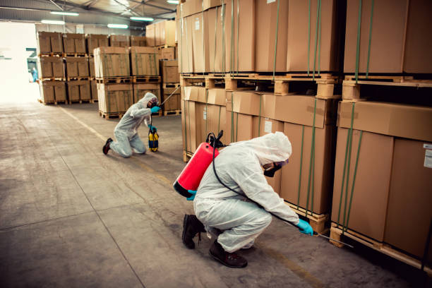 Flea Control Services in Tarkio, MO