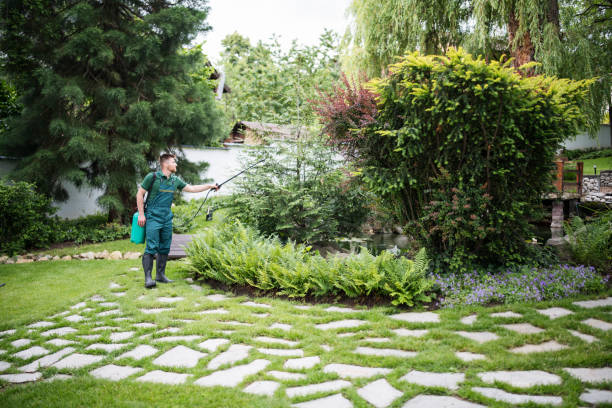 Pest Prevention Services in Tarkio, MO