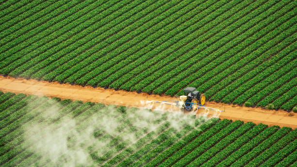 Best Pest Prevention Services  in Tarkio, MO