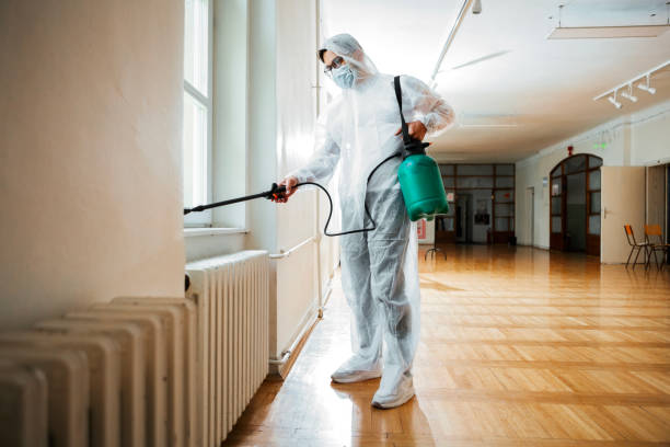 Best Mosquito Control Services  in Tarkio, MO
